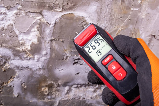 Best Emergency Mold Removal  in Marion, OH