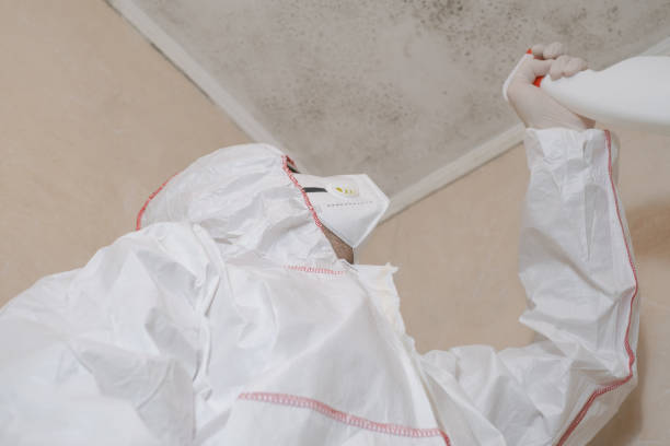 Best Office Mold Removal Services  in Marion, OH